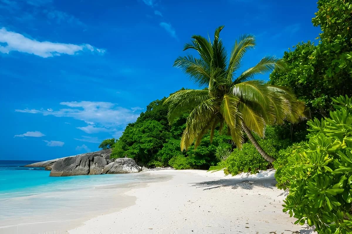 Best Time to Visit Andaman: Complete 2026 Travel Guide