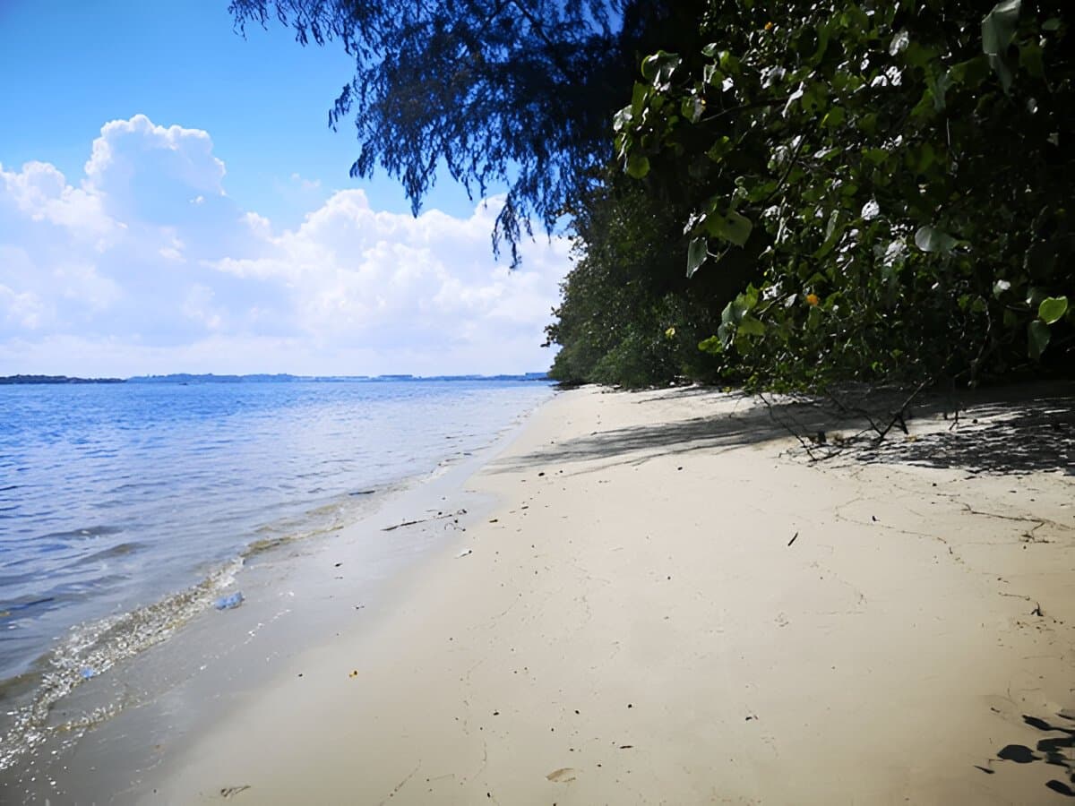 Coney Island, Singapor