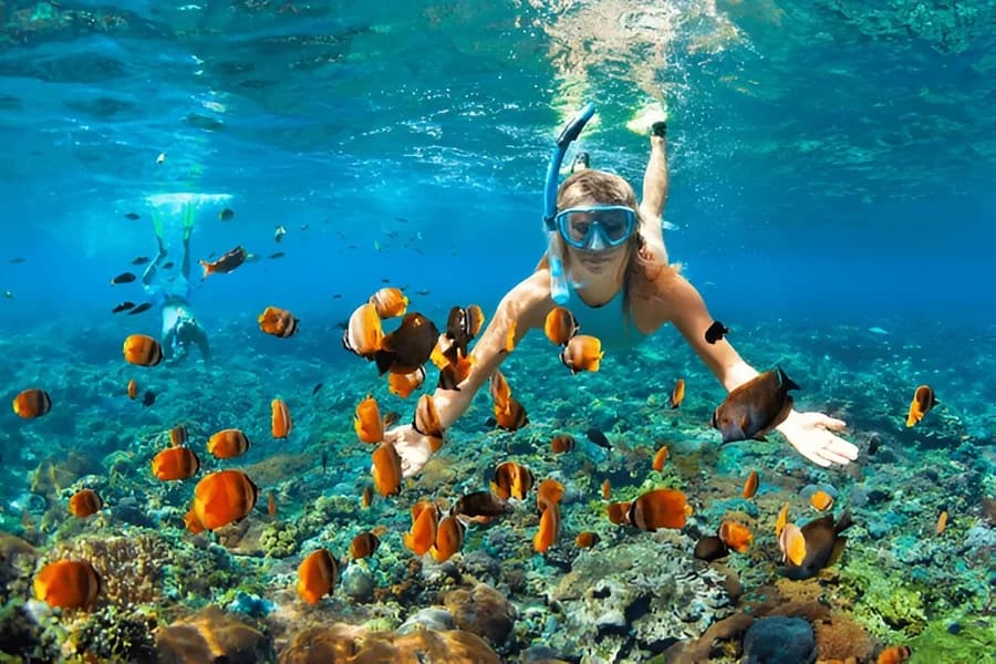 Snorkeling in Lakshadweep