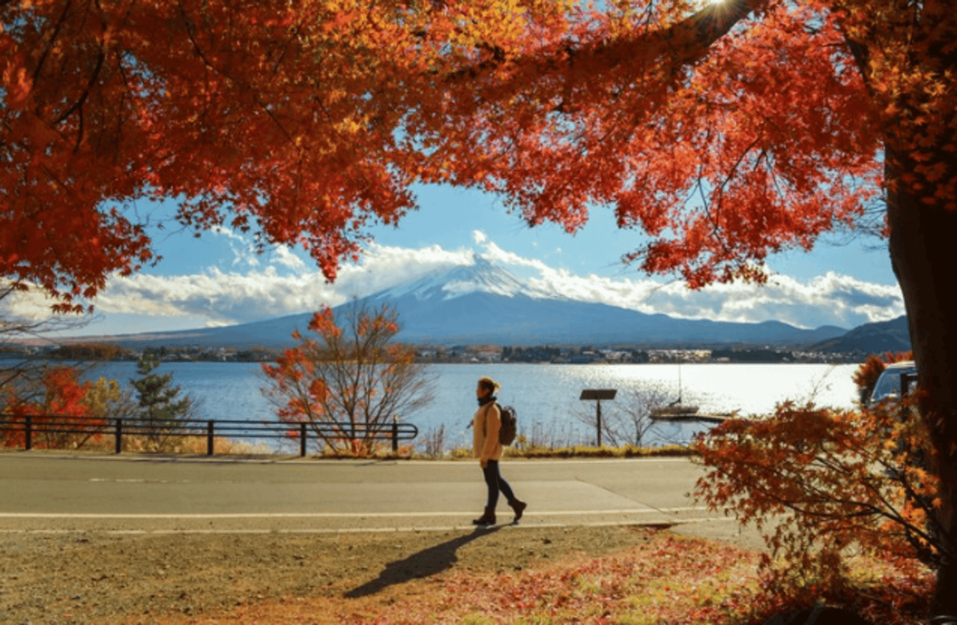 Hiking in Tokyo: Explore Nature Beyond Cities