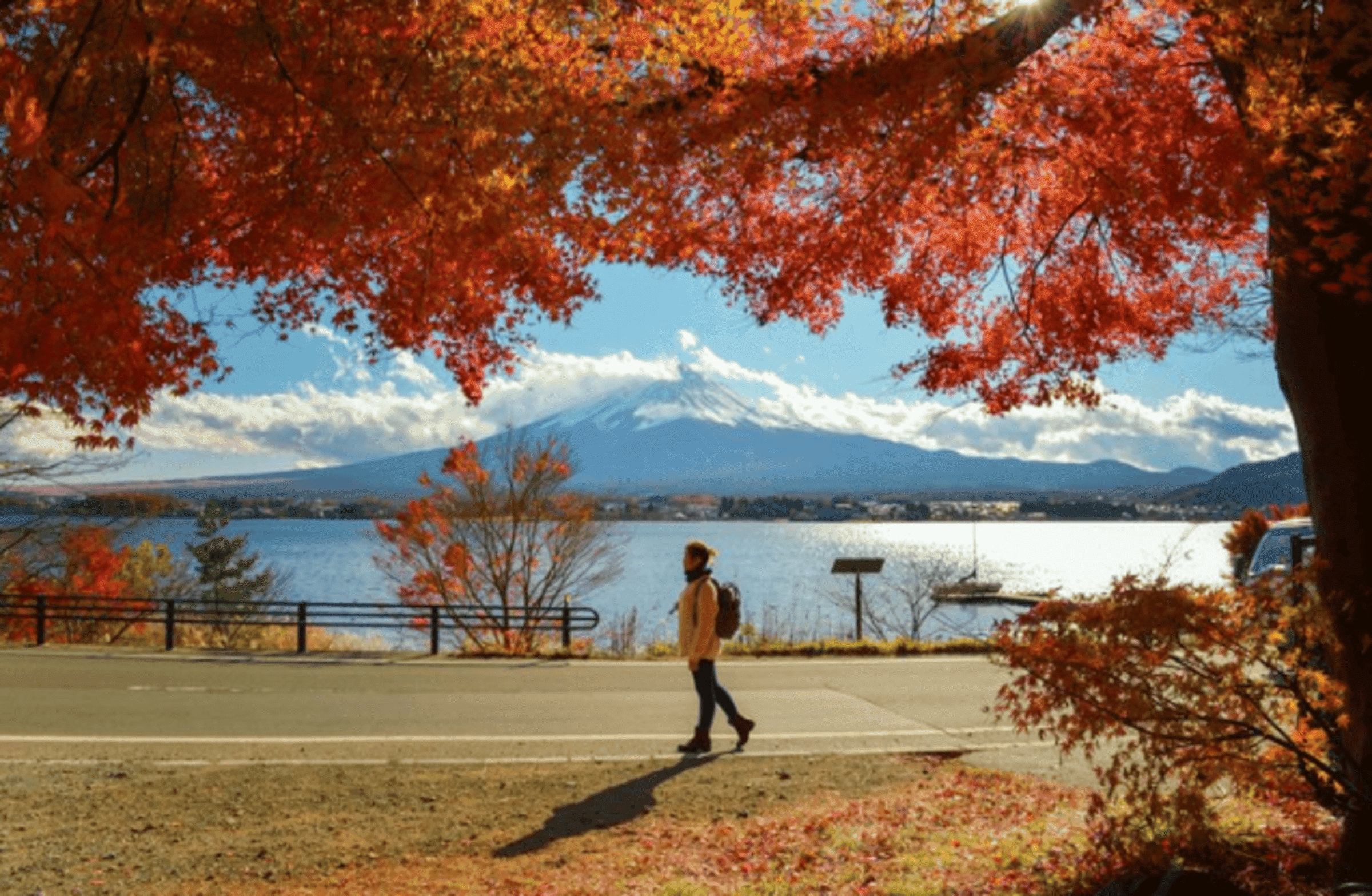Hiking in Tokyo: 5 Entrancing Paths That Will Leave Hikers Awestruck