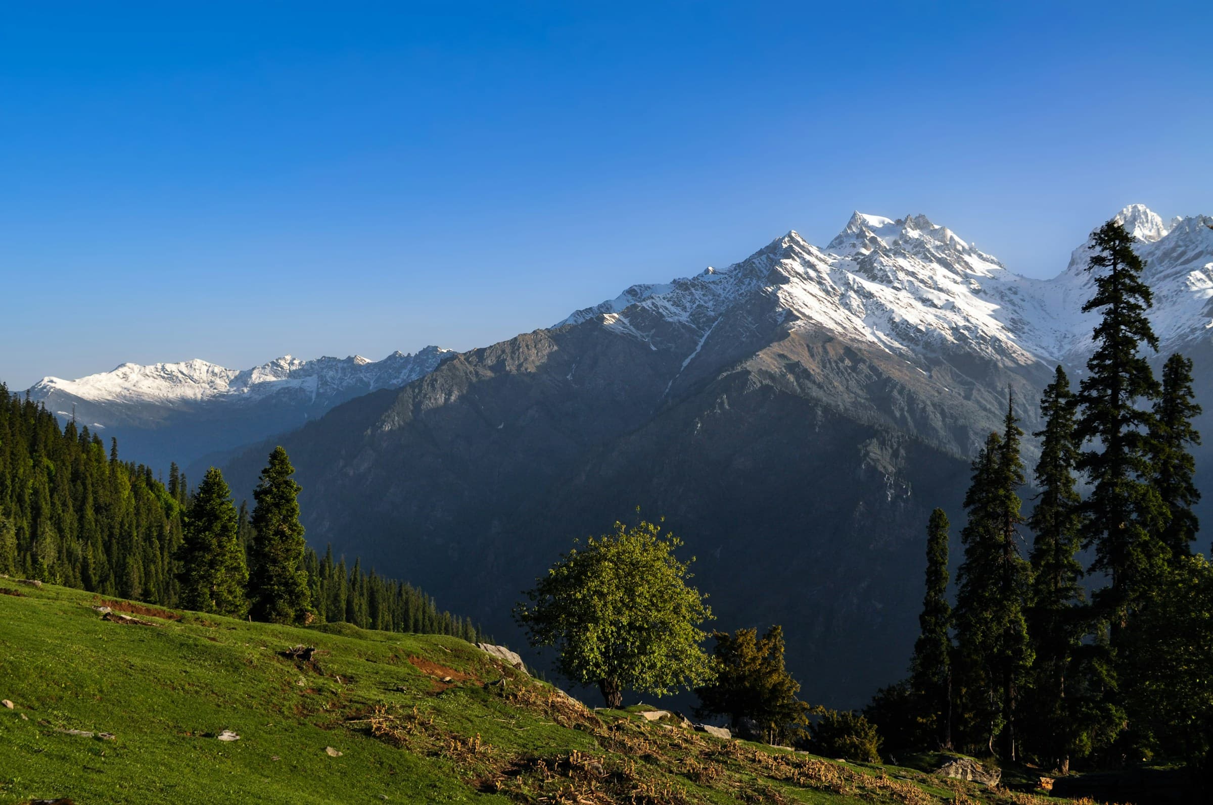 Visit Jibhi and Tirthan Valley: Places, Best Time, and How to Reach