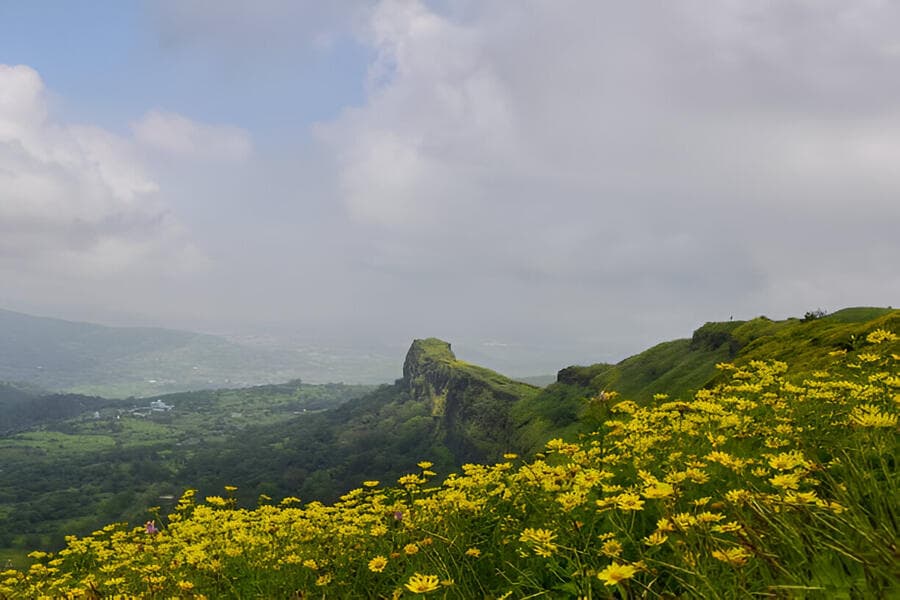 Plan Your Dream Getaway with a Mahabaleshwar Honeymoon Package