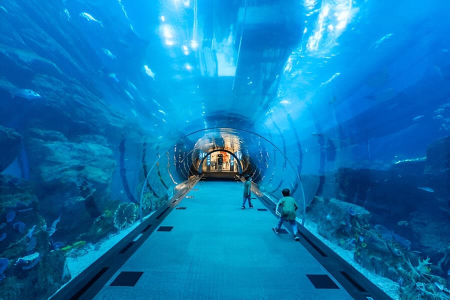 Dubai Aquarium