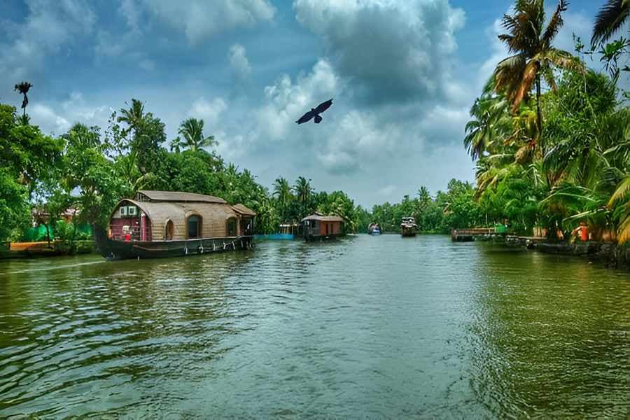 Kerala Family Tour Packages: Explore God’s Own Country Like Never Before