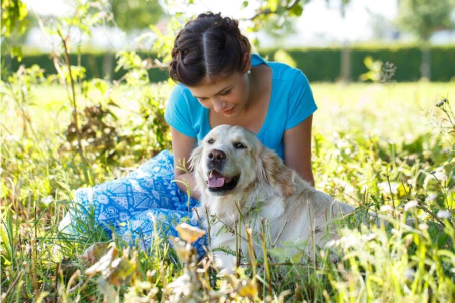 Best Pet-Friendly Hotels in Mount Abu