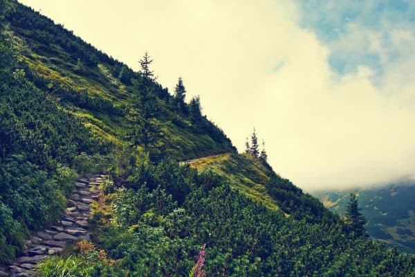 Dreamy Darjeeling Honeymoon Package Plans
