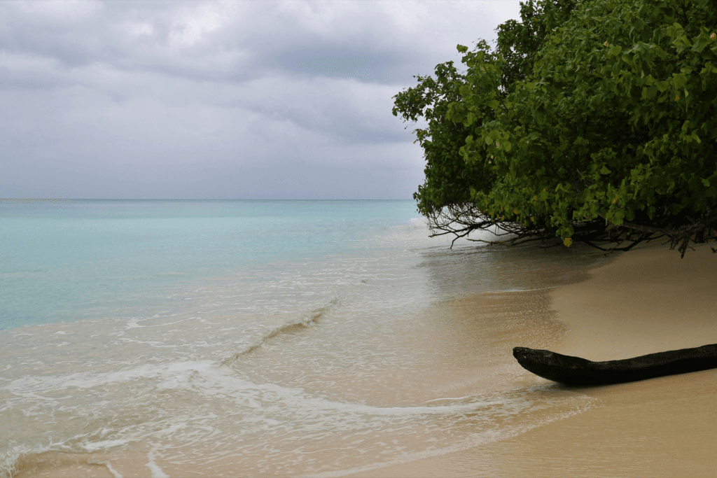 Explore Andaman: Budget-friendly Family Tour Packages to Port Blair, Havelock &amp; Neil