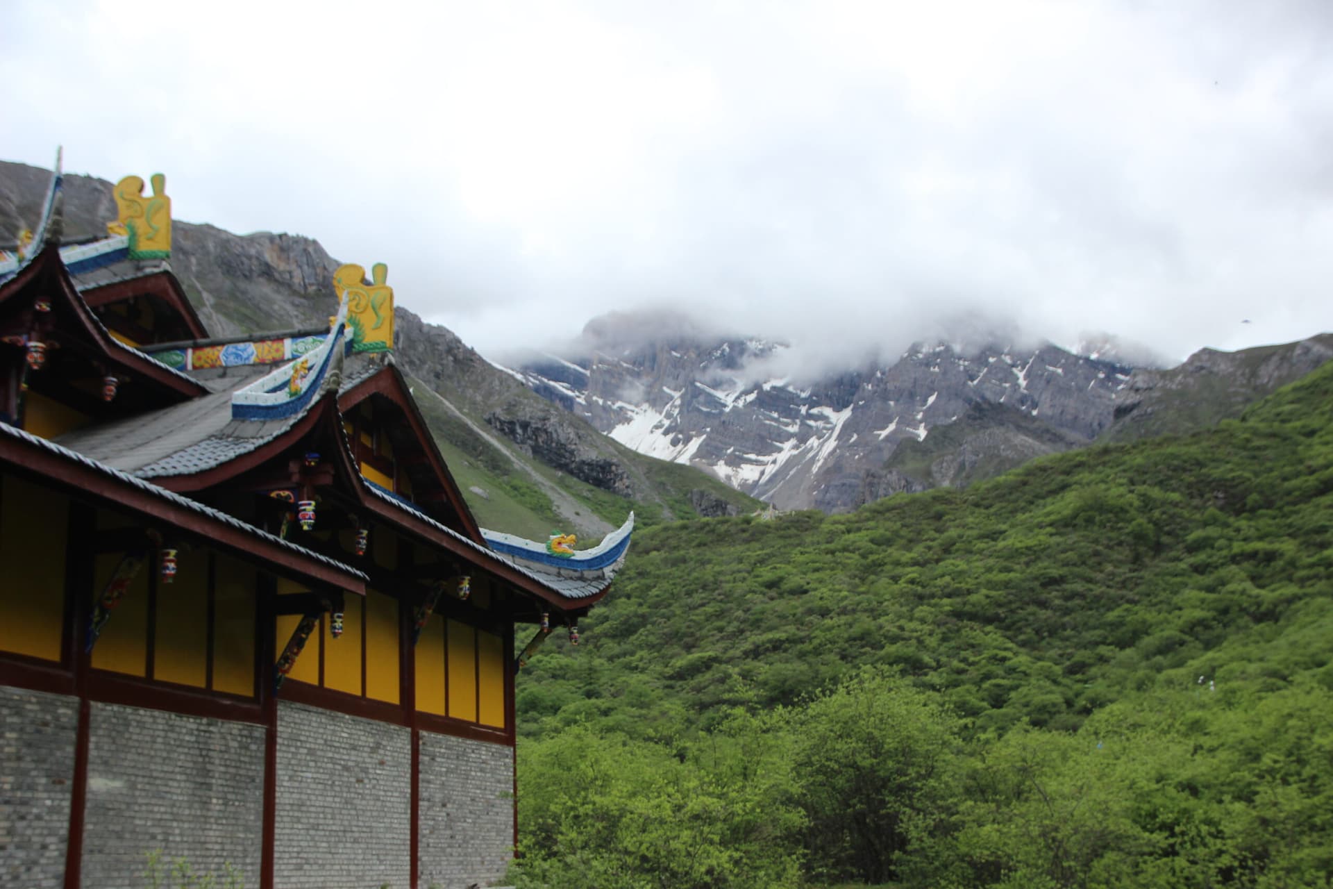 Experience Love Like Never Before | The Ultimate Bhutan Honeymoon Escape