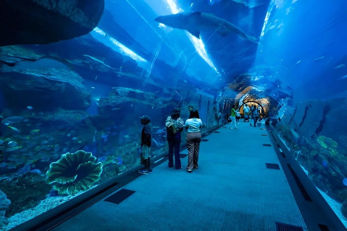 Dubai Aquarium &amp; Underwater Zoo