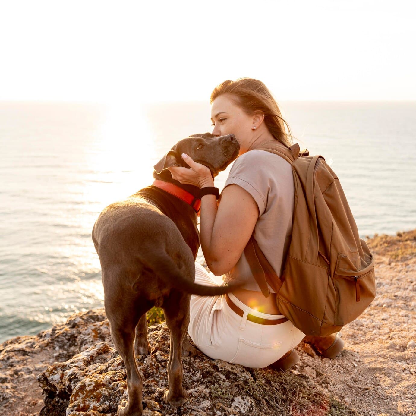 Discover Pet-Friendly Accommodation in Rishikesh