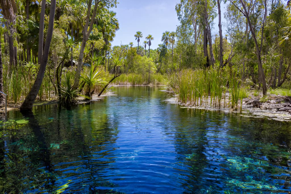 Mataranka Hot Springs