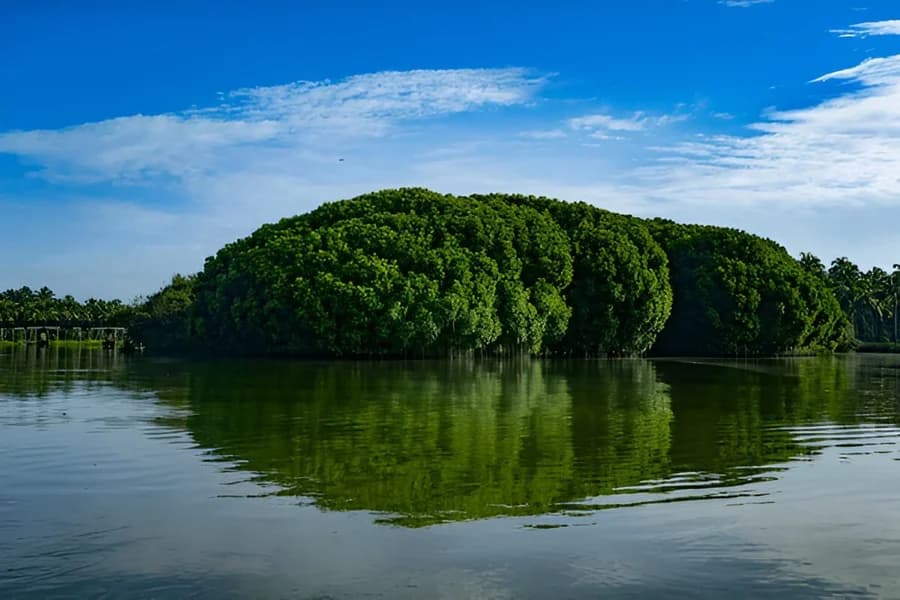 Kadalundi River