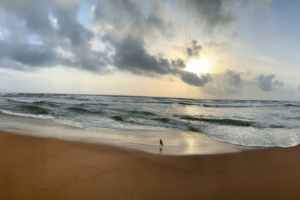 Plan Your Ideal Family Holiday with Veena World  in Kerala: Affordable &amp; Exciting Tours