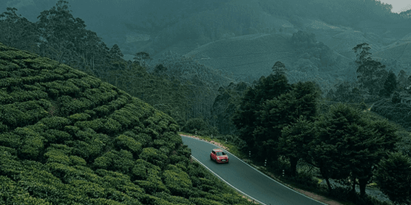 Explore the Cheapest Kerala Tour Packages for Family (Save Big Without Compromising Fun!)