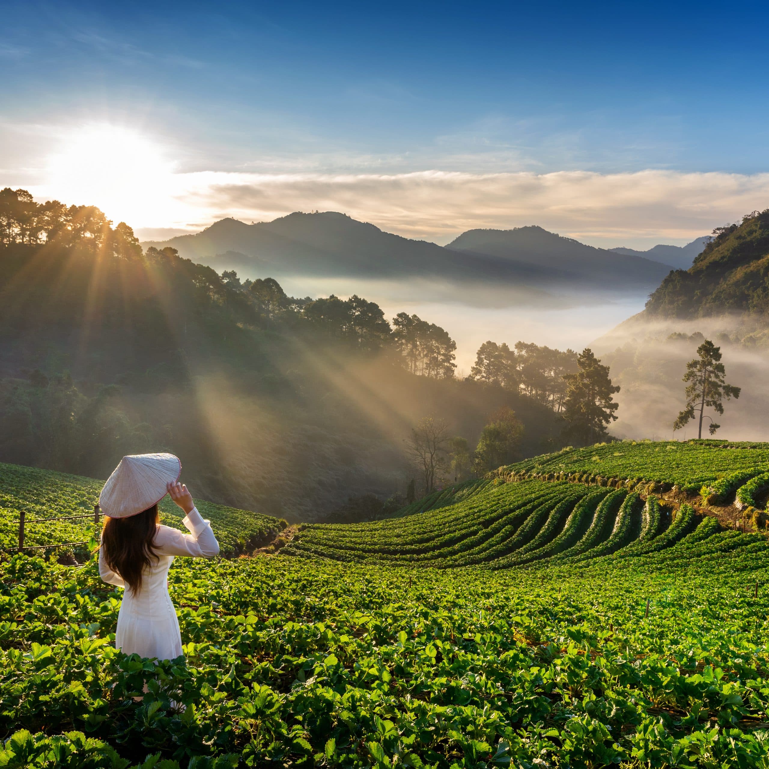 Explore Chikmagalur in Karnataka: The Coffee Paradise That Will Elevate Your Travel Experience