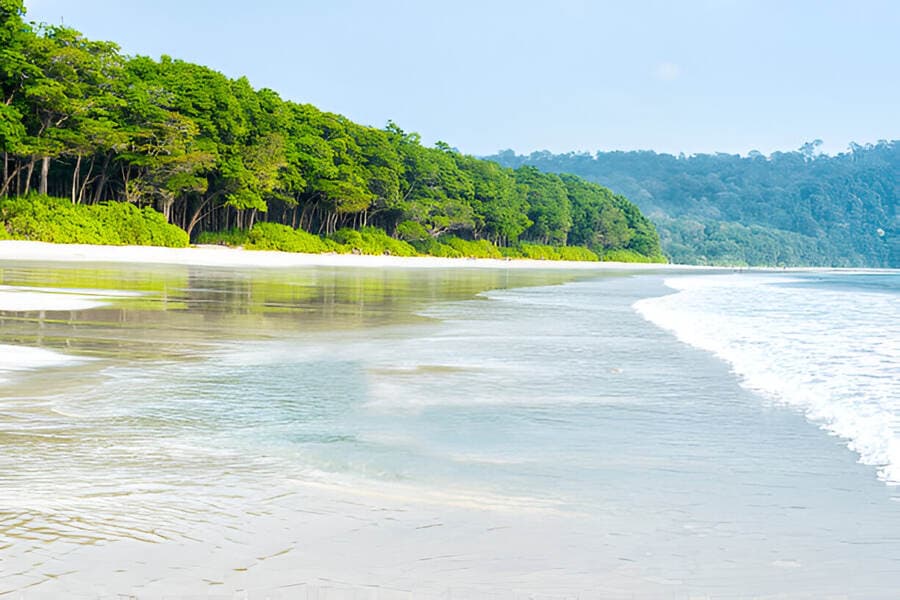 Most Reputable Places to Take Kids in the Andaman and Nicobar package for family