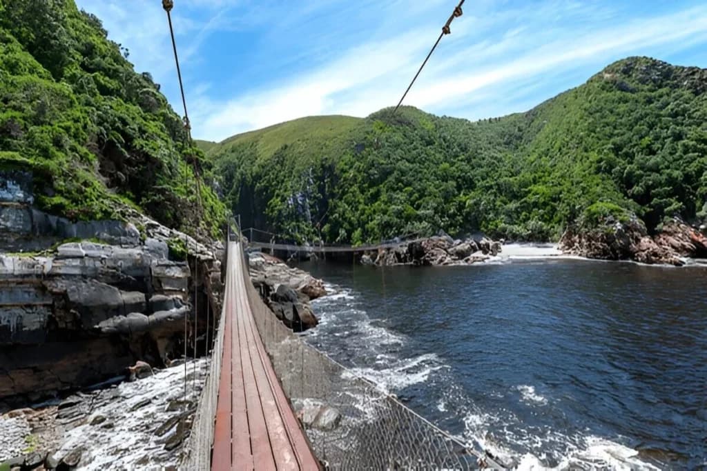 Tsitsikamma National Park