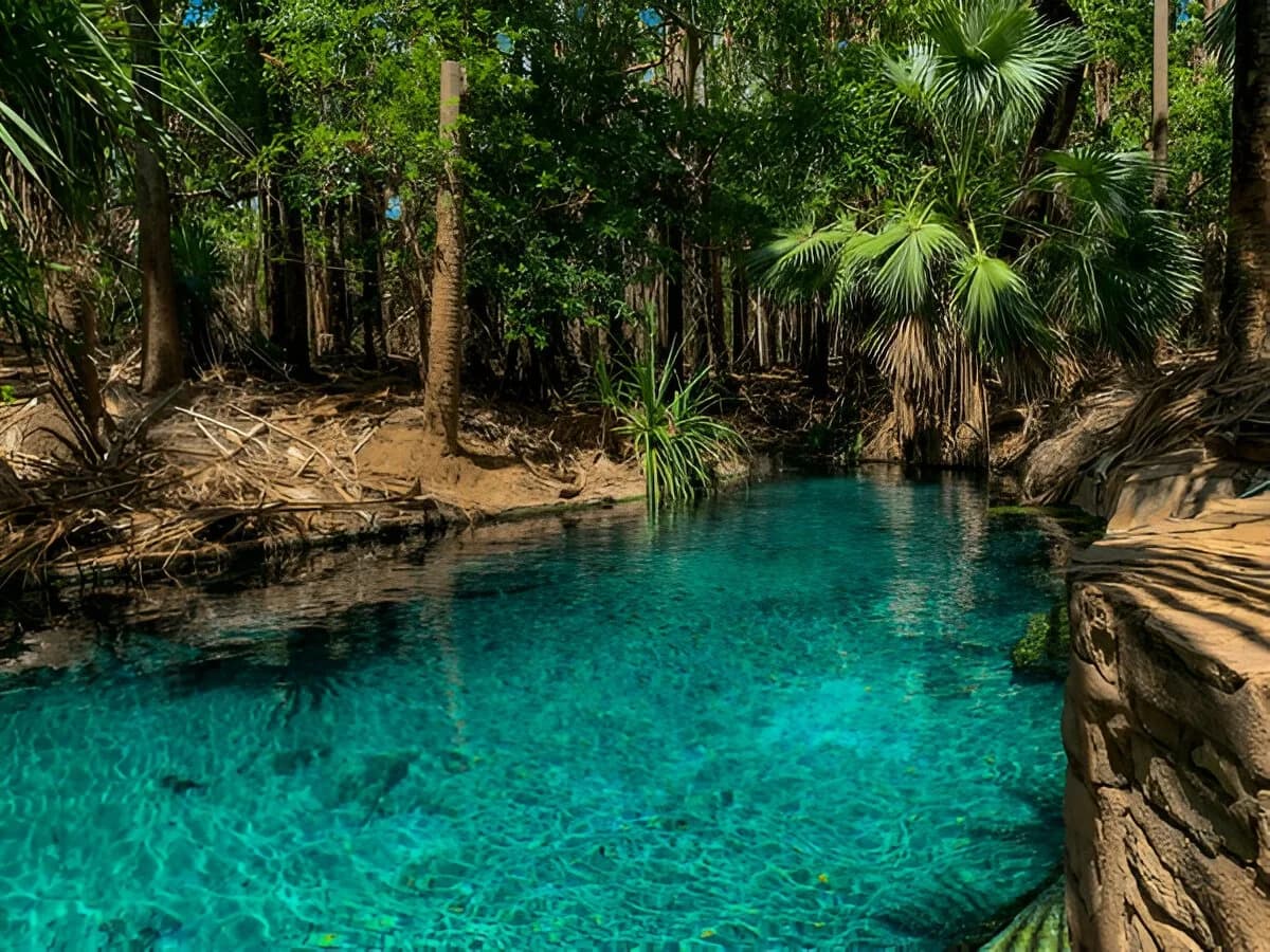 Mataranka Hot Springs