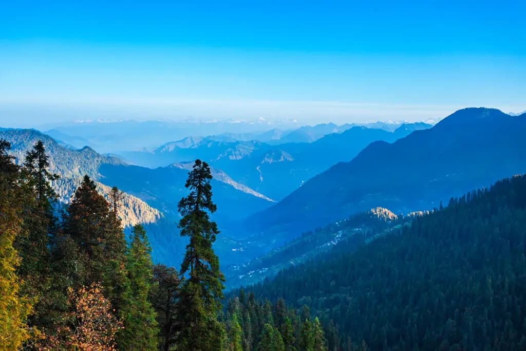 Shimla