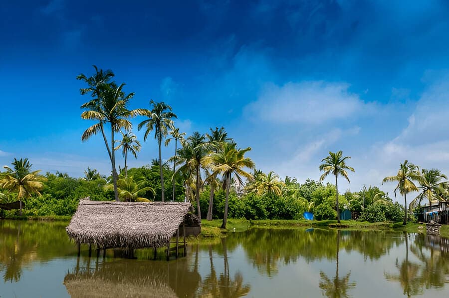 Kerala in June Feels Like a Dream: Monsoon Magic, Hidden Gems & Travel Secrets