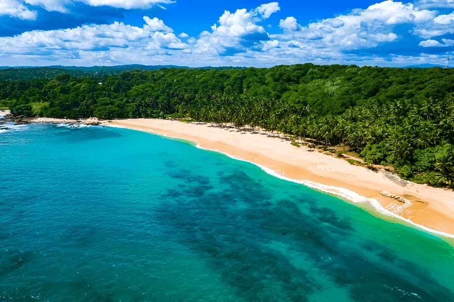 15 Things to Do in Sri Lanka That Will Blow Your Mind (2026 Guide)