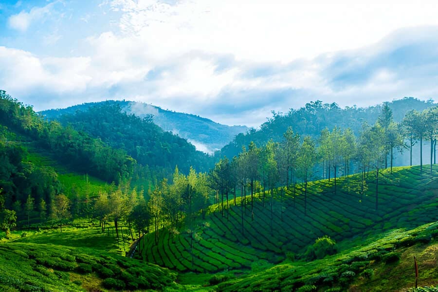 Affordable Kerala Family Tour with Viacation: Plan Your Dream Trip Without Breaking the Bank