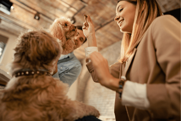 Your Furry Friend's Ideal Stay in Gurgaon