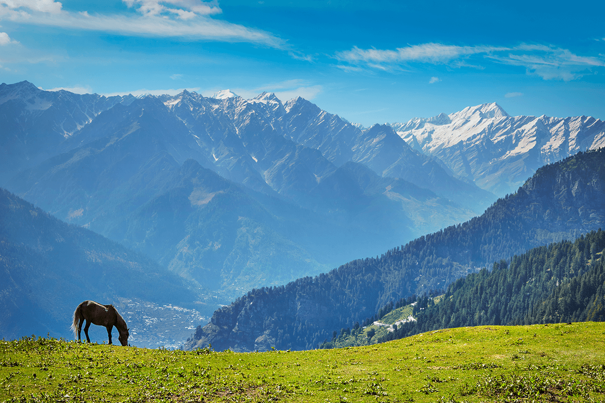 Himachal Family Tour Packages for Every Family & Group Trip
