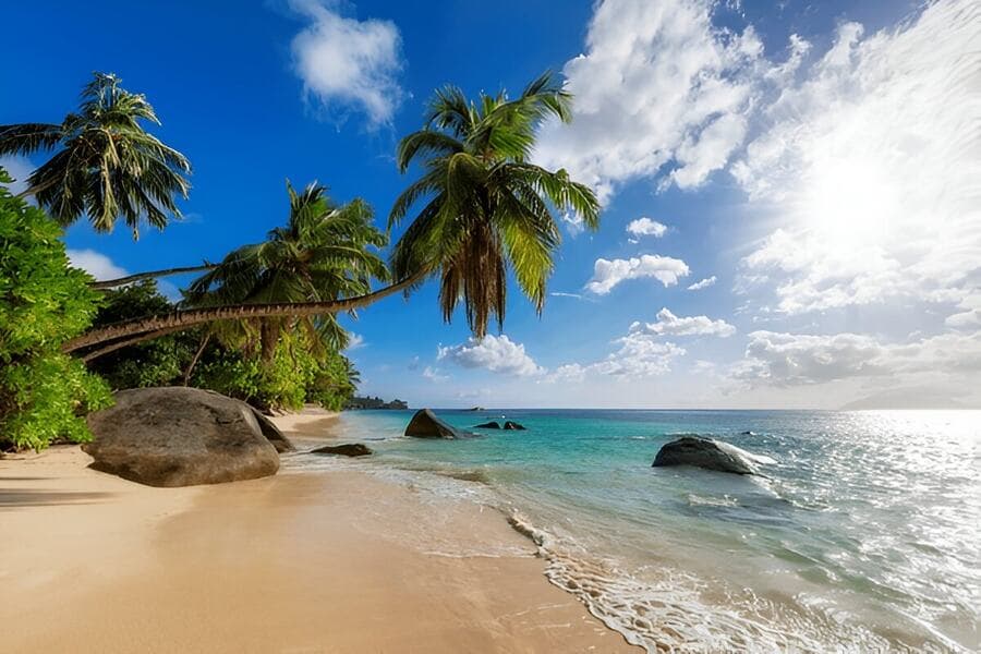 Best Beaches in Goa