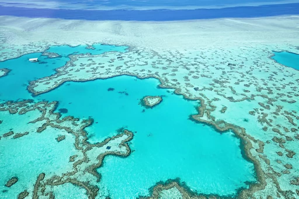 The Great Barrier Reef Is the World’s Largest Coral System
