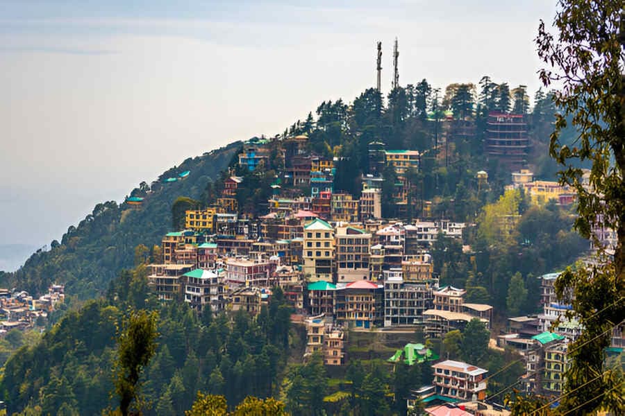 Experience Romance in Himachal: The Ultimate Honeymoon Escape