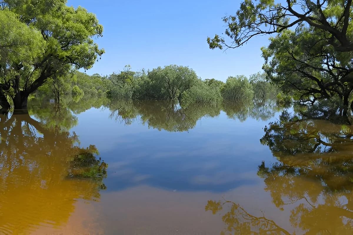 Loxton, Australia – A Peaceful Riverside Town Full of Country Charm