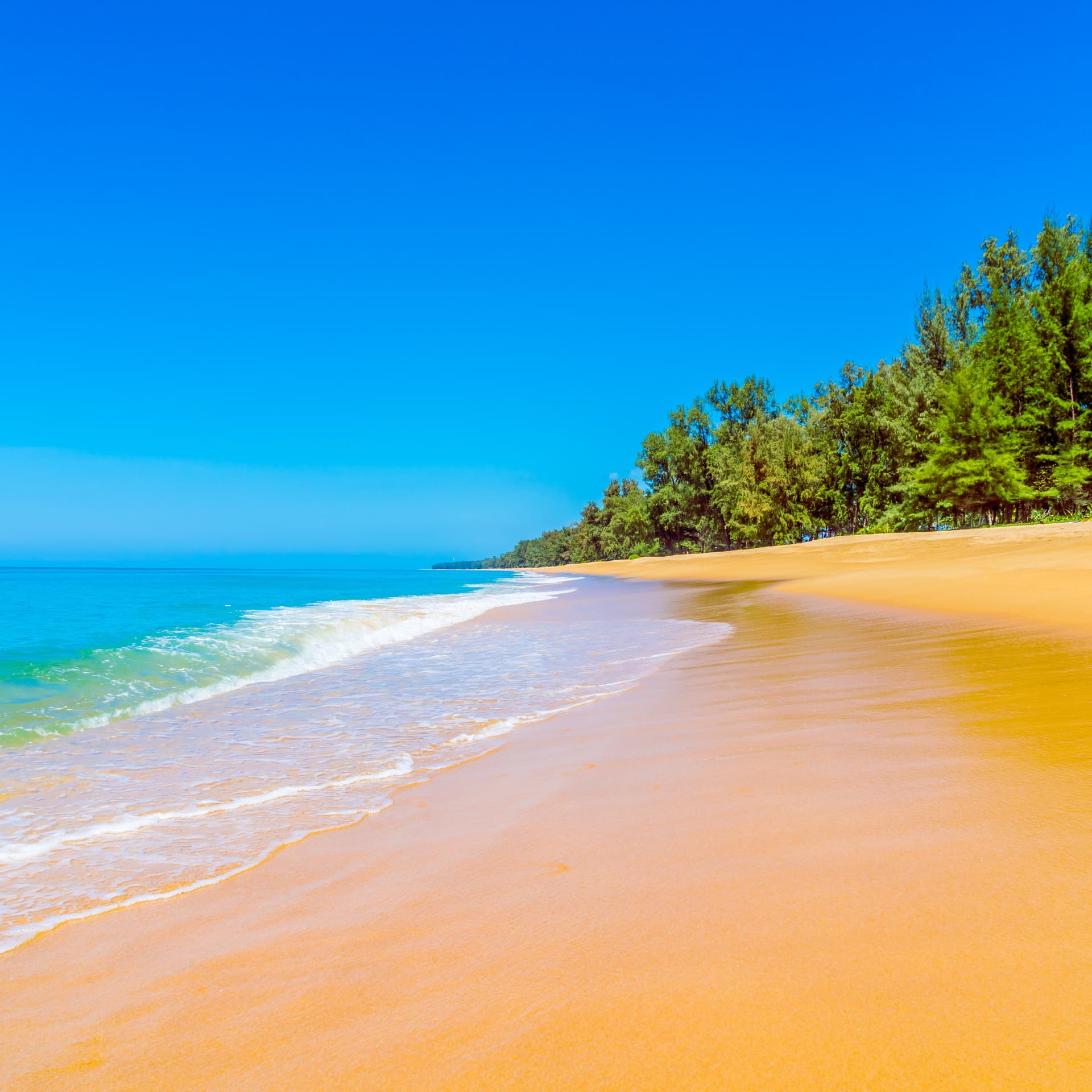 Explore Varkala: Kerala’s Hidden Coastal Paradise You Can’t Miss