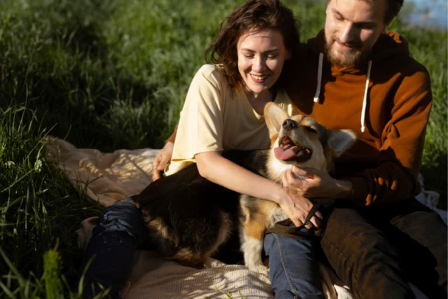The Best Pet-Friendly Hotels in Vizag for a Perfect Getaway