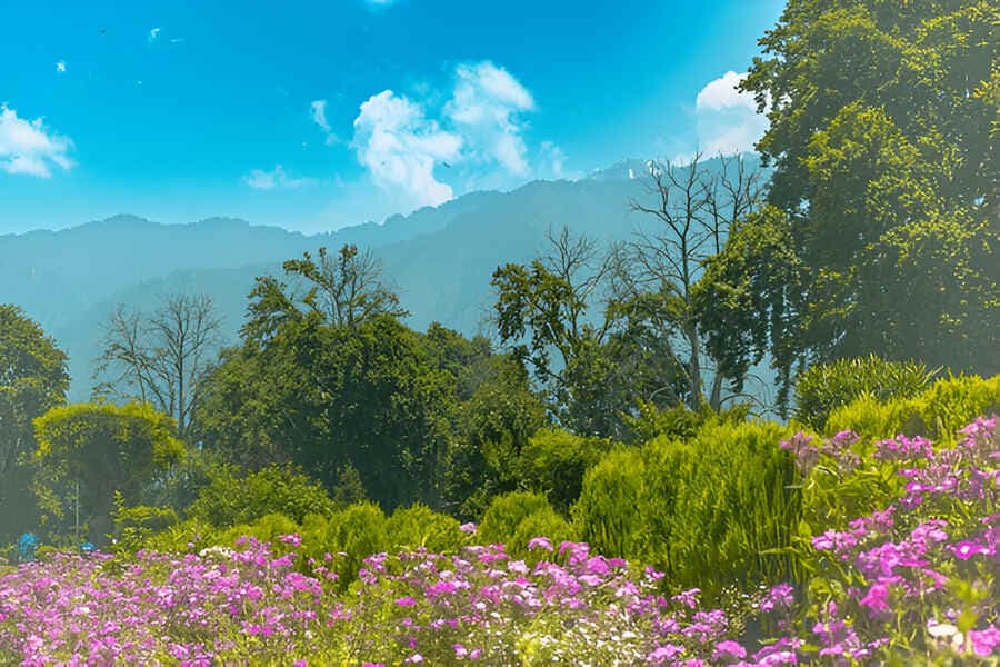 Mughal Gardens