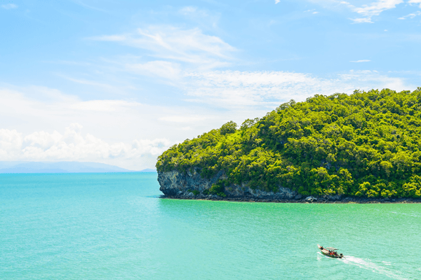 Find the Most Attractive Andaman Nicobar Tour Packages