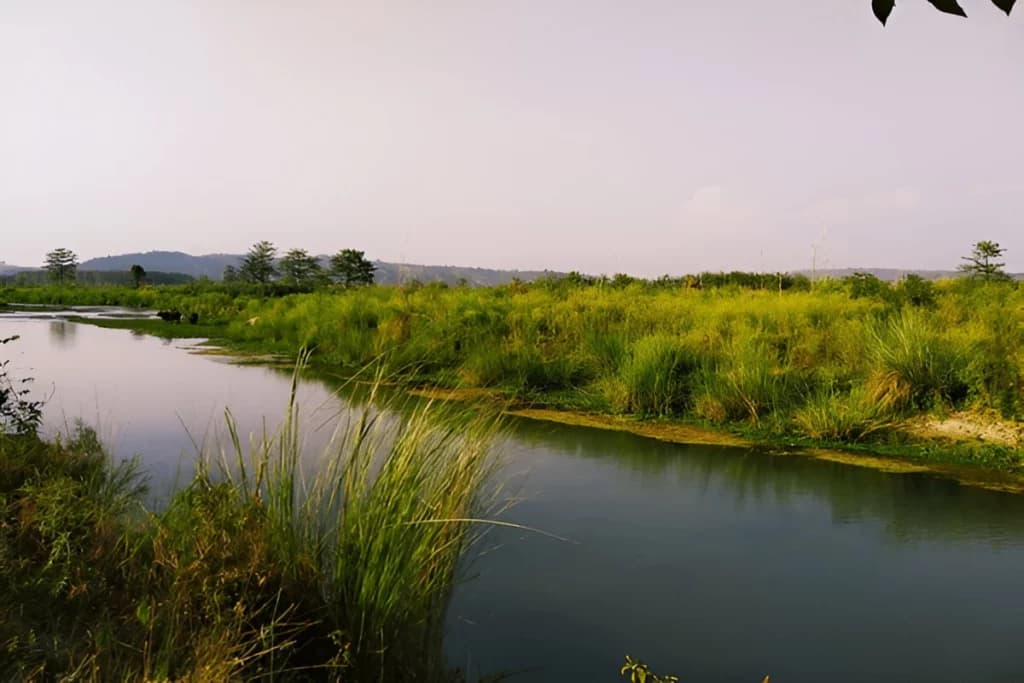 Beas River