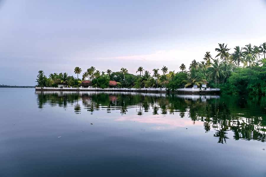 Top-Rated Honeymoon Packages in India: A Guide for Nature Lovers
