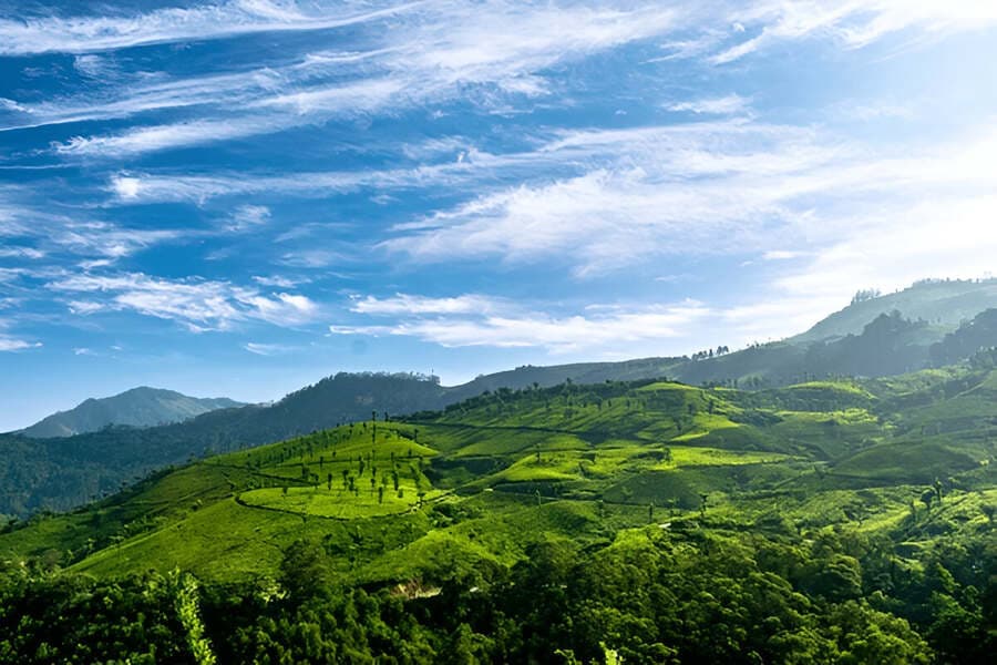 Munnar