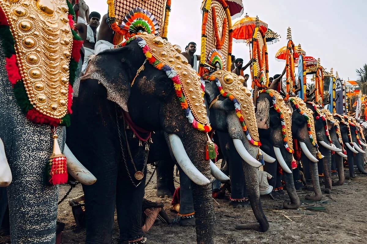 Temple Elephant