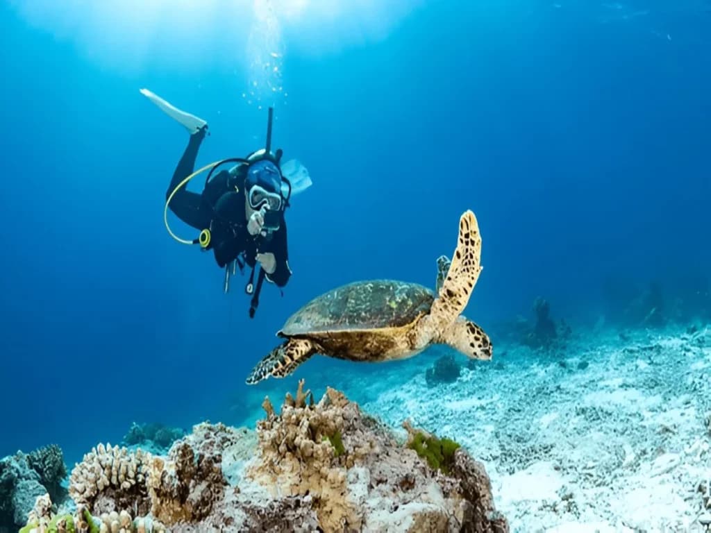 Scuba Diving in Lakshadweep