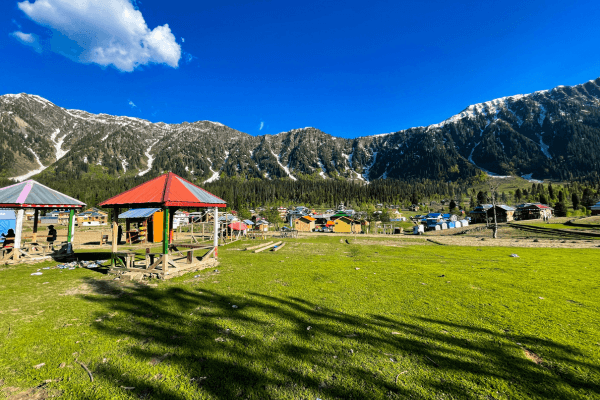 Embrace Nature and Spirituality in Dharamshala with your family