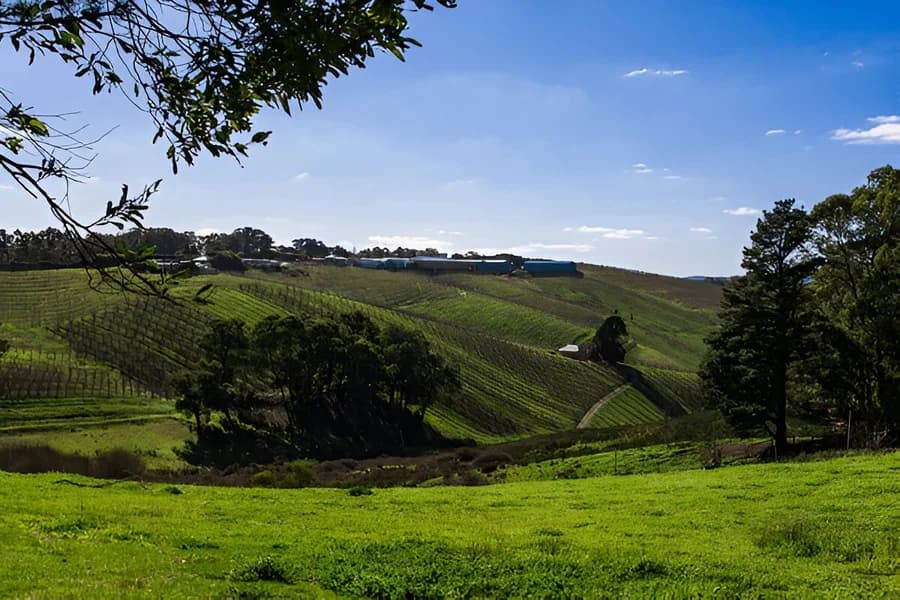 Adelaide Hills