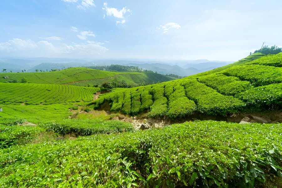 Hill Stations in Kerala