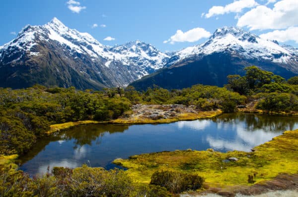 Explore Love & Luxury with New Zealand Honeymoon Packages