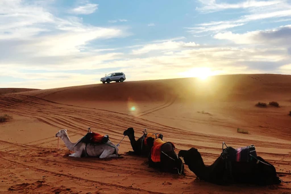 Desert Safari Adventure