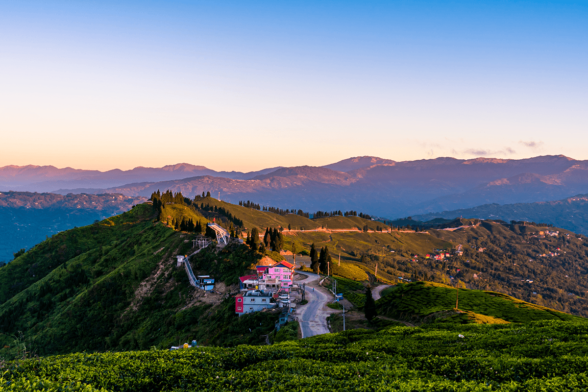 Best Romantic Darjeeling Honeymoon Getaway