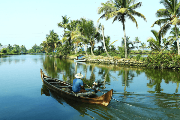 What to Explore on a Singapore Honeymoon Tour (Secrets Couples Love!)