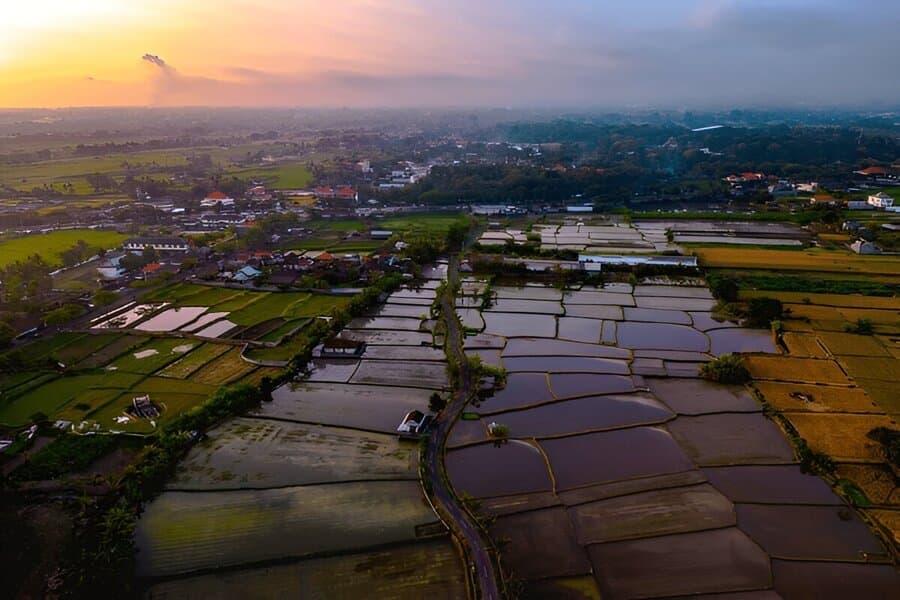 Discover Gianyar